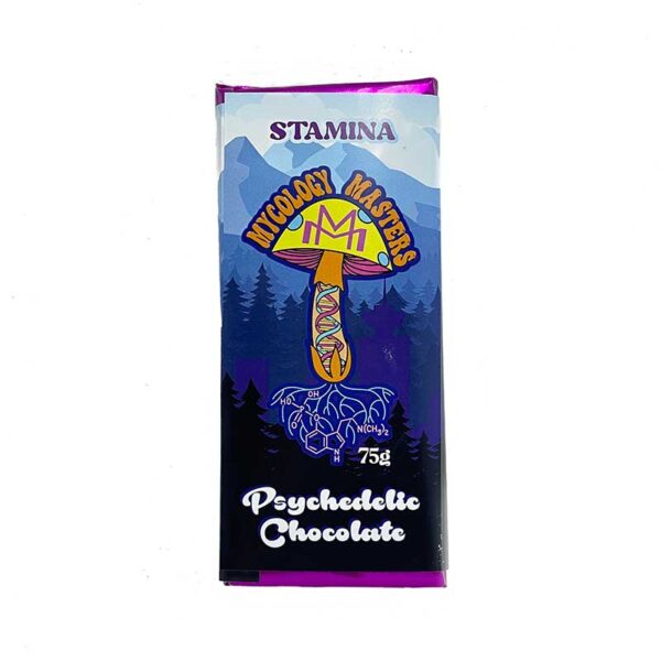 Mycology Masters Psychedelic Chocolate – Stamina 3000mg